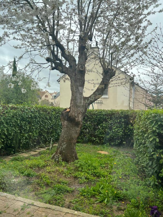 Maison Familiale, Quartier Calme Le Mans Extérieur photo
